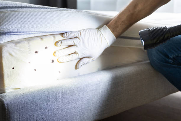 Pest Prevention Services in Lagrange, IN