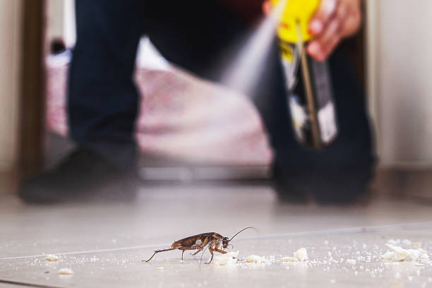 Reliable Lagrange, IN Pest Control Solutions